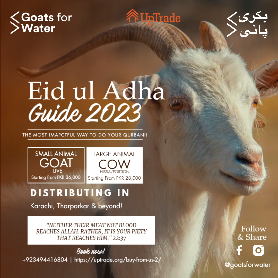 UpTrade - Goats for Water (@goatsforwater) on Twitter photo We are thrilled to announce that our website is now live with our exclusive Qurbani service options for Eid ul Adha! We understand the importance of facilitating your Qurbani sacrifice with convenience and peace of mind.  Visit uptrade.org/buy-from-us-2/ to book your orders 🐐🕌🌙🌟 We are thrilled to announce that our website is now live with our exclusive Qurbani service options for Eid ul Adha! We understand the importance of facilitating your Qurbani sacrifice with convenience and peace of mind.  Visit uptrade.org/buy-from-us-2/ to book your orders 🐐🕌🌙🌟