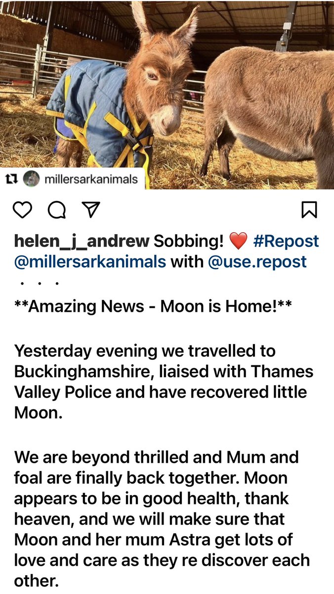 Helen_Andrew_'s tweet photo. Moon the donkey that was stolen has been found &amp; reunited with her Mum! I did not expect to start the day crying over a donkey but here we are! ❤️ https://t.co/KGYLduprWo