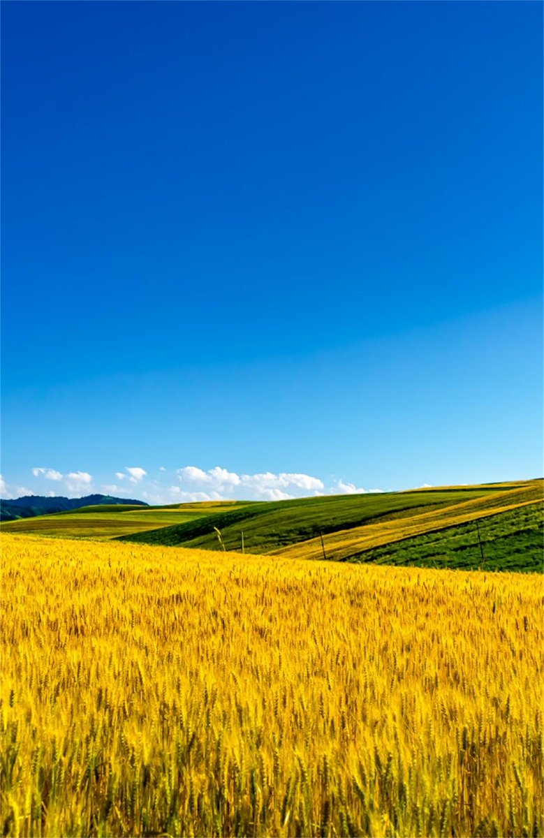 There is wind in a house with many doors, and people who talk too much are in trouble.