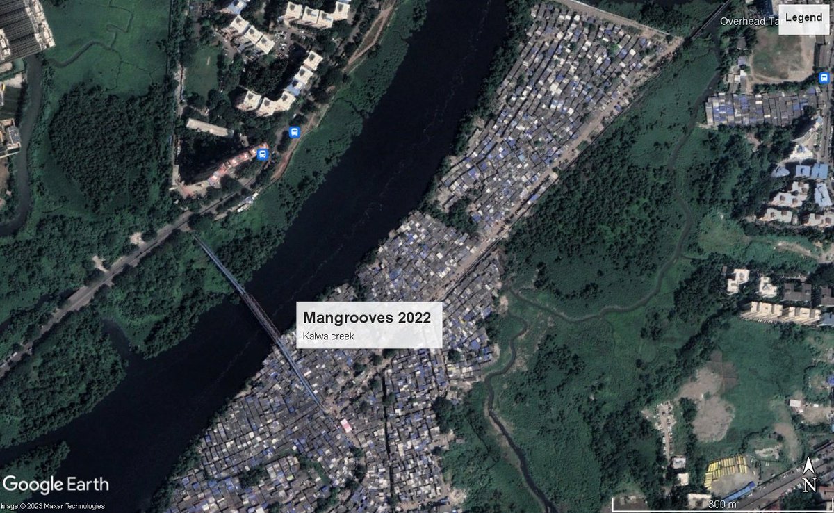 At Thane Kalwa creek since the year 2017, we are losing our mangroves to Slums. Its also sad that none of the renowned green activists highlighting this issue. <a href="/TMCaTweetAway/">Thane Municipal Corporation - ठाणे महानगरपालिका</a> pls wake up we cant lose more mangroves ! #mumbai #thane