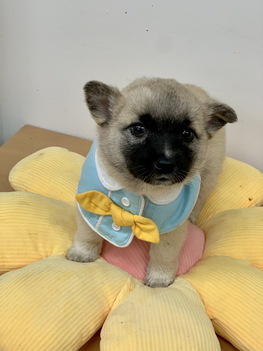 익명(前광주보호소 익명) tweet media