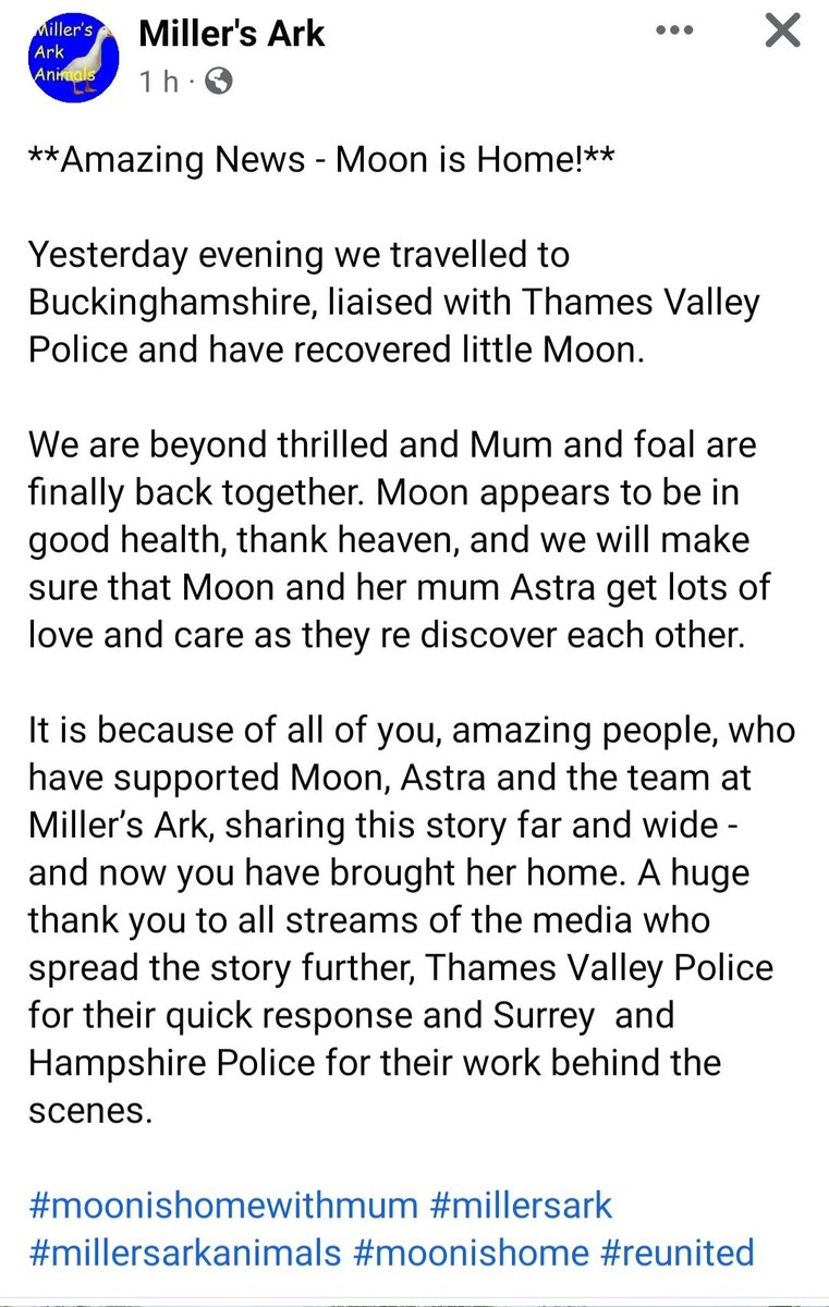 lawes7878's tweet photo. Moon is home #FindMoon wonderful news, see @MillersArk Facebook page for video. Such brilliant news and she's in good health π π π β€οΈ #stolendonkey #Hook #Hampshire https://t.co/LrgI33CWcA