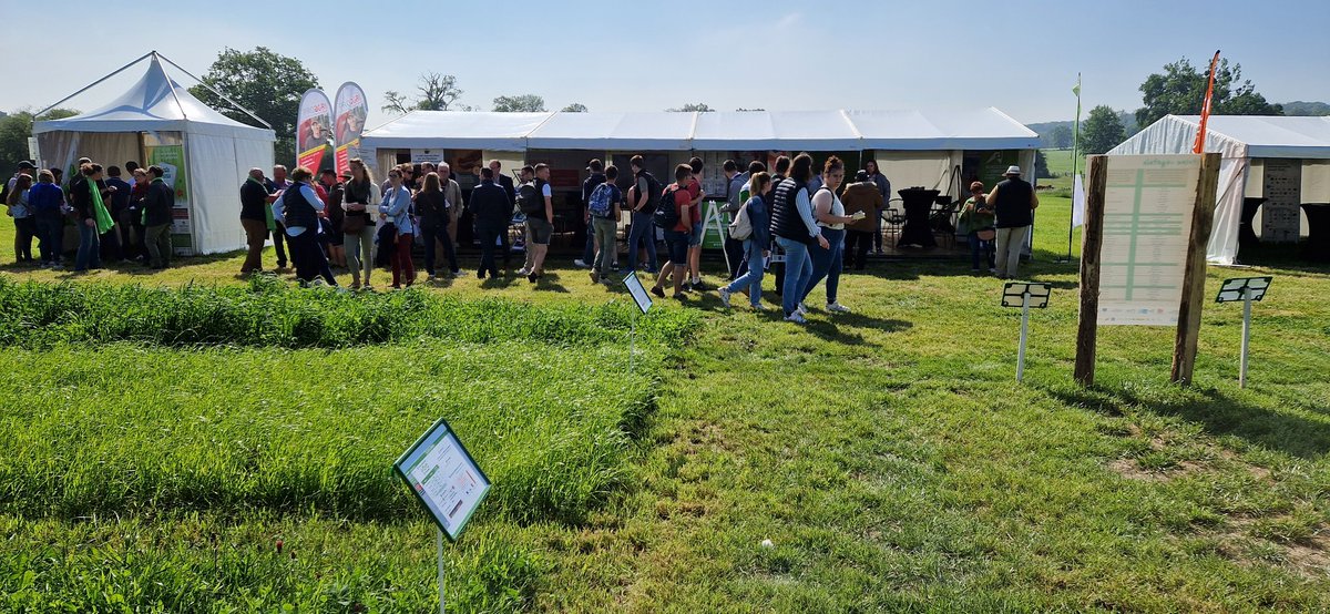 En direct du stand <a href="/Agri_Normandie/">ChambreAgriNormandie</a> aux #Prairiales2023 Normandie du Pin

On discute numérique, cloud, impression 3D, etc... Des outils accessibles à tous pour les usages du quotidien !

#FrAgTw <a href="/Fragritwittos/">FranceAgritwittos♥️</a>