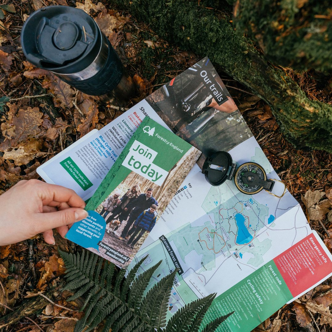 Forestry England tweet media