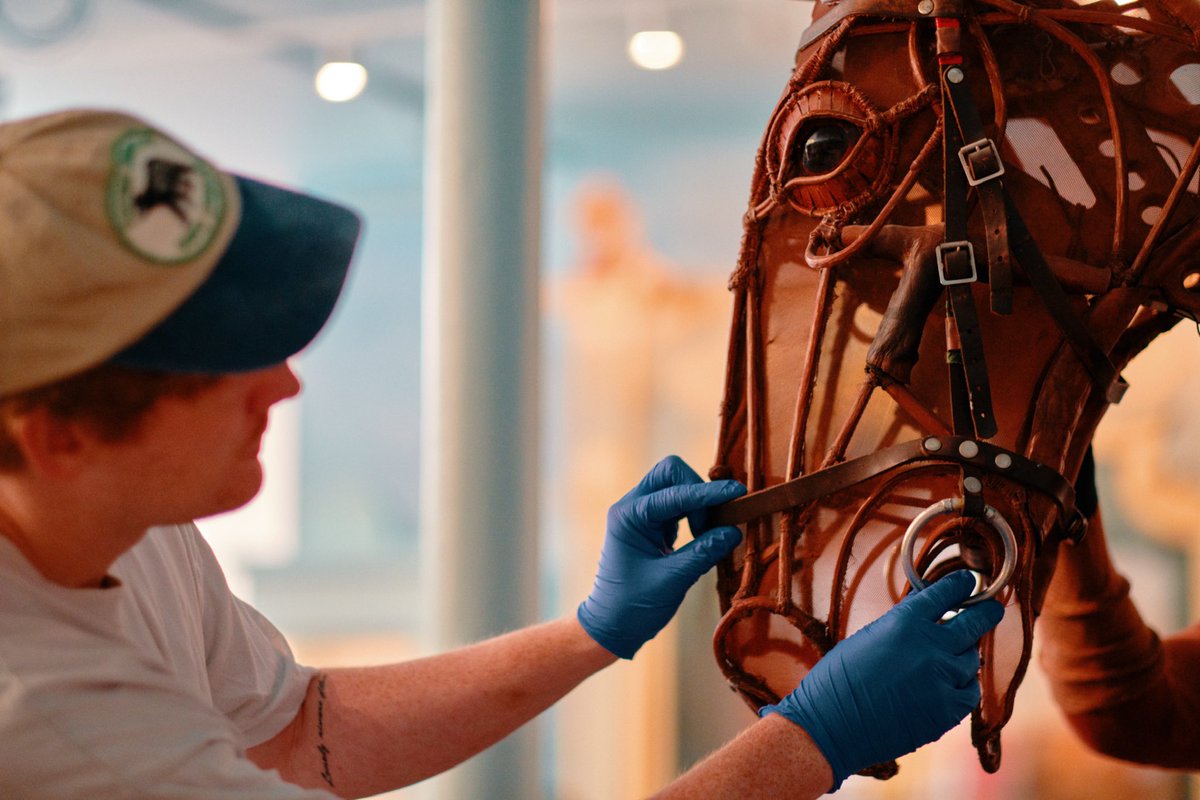 young_vam's tweet image. Joey the War Horse has arrived at Young V&amp;amp;A🐴 

It’s just 4 weeks to go until we open our doors on Saturday 1 July! ⏰ 

Here’s a sneaky look at some exciting things to look forward to…