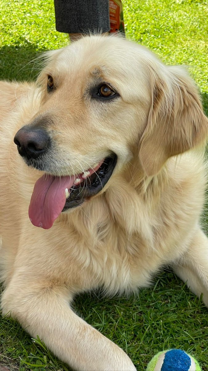 Still cute af in case any of you were wondering x