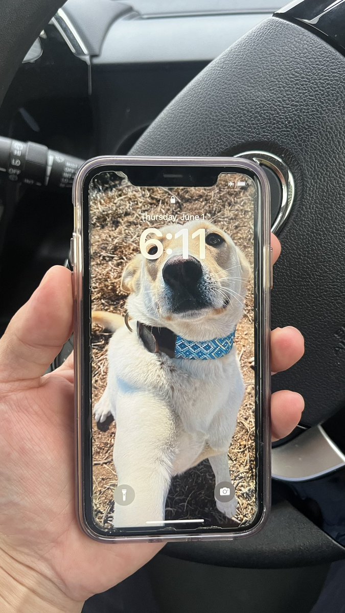 AM51198583's tweet photo. 【拡散希望】
iPhoneを落とされた方。拾って交番に届けましたので回収してください。

拾った場所: 〒532-0003 大阪府大阪市淀川区宮原2-14-1 ワンショットバーキース前

預けた交番: 〒532-0005 大阪府大阪市淀川区三国本町３丁目８−５０ 淀川警察署三国本町交番 https://t.co/oapumfZxBK
