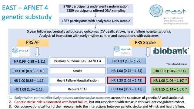 Is genetic predisposition to #Afib and ischemic #stroke associated with adverse cardiovascular events?
Check out the latest results of a subgroup analysis of the #EastTrial by Kany et al just published @Cardivascular research! doi.org/10.1093/cvr/cv…