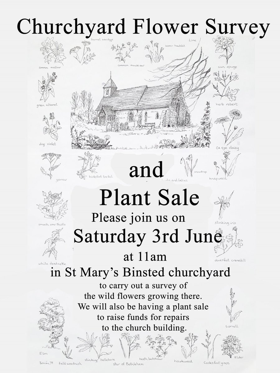 Plant sale and wildflower survey at Binsted Church, this Sat, 11am 🌸🌷🌻🌼🌺💐🌞