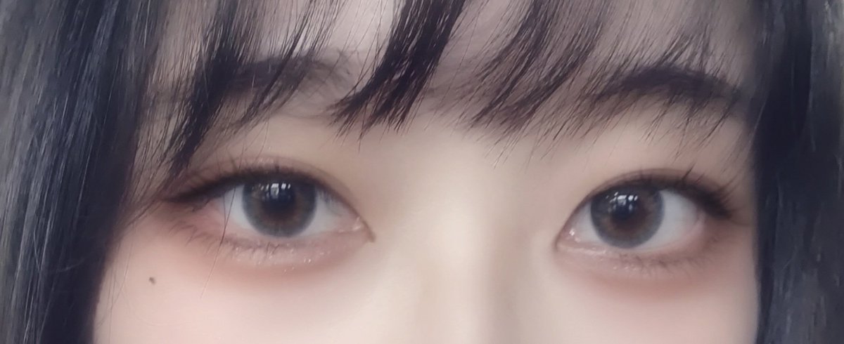 눈눈