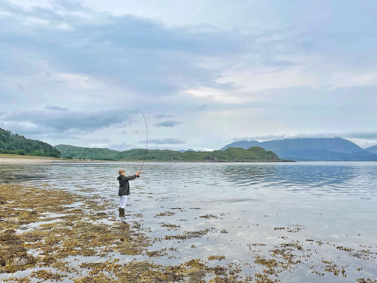 H&H Group plc (@h_hgroup) on Twitter photo 📷 Did somebody say it was June already?!
This month we recognise one of our runners-up in our H&H Calendar competition as our ‘photo of the month’ with this image of fly fishing off the beach at Kingairloch Castle, Scotland. Well done Helen Forbes <a href="/HHLandEstates/">H&H Land & Estates</a> 👌👏 📷 Did somebody say it was June already?!
This month we recognise one of our runners-up in our H&H Calendar competition as our ‘photo of the month’ with this image of fly fishing off the beach at Kingairloch Castle, Scotland. Well done Helen Forbes <a href="/HHLandEstates/">H&H Land & Estates</a> 👌👏