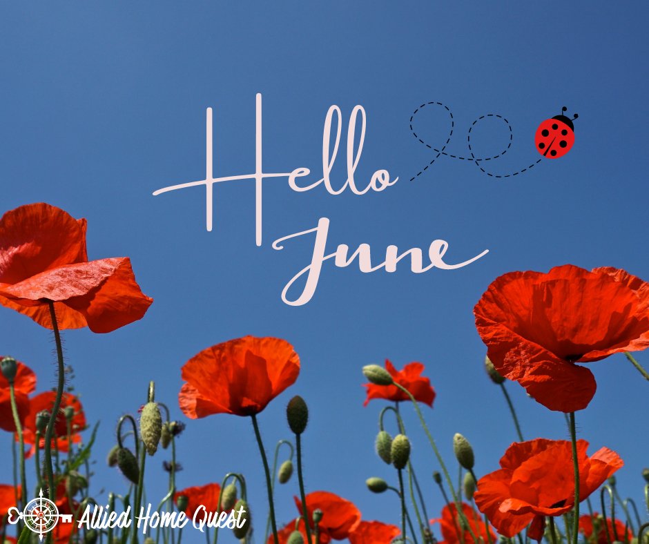 As we begin Summer- May we welcome June with an open and warm Heart!

#yourfriendandrealtormaryc #alliedhomequest #merrycozyattheheartofmore #hellojune #june2023 #summertime #summerlove