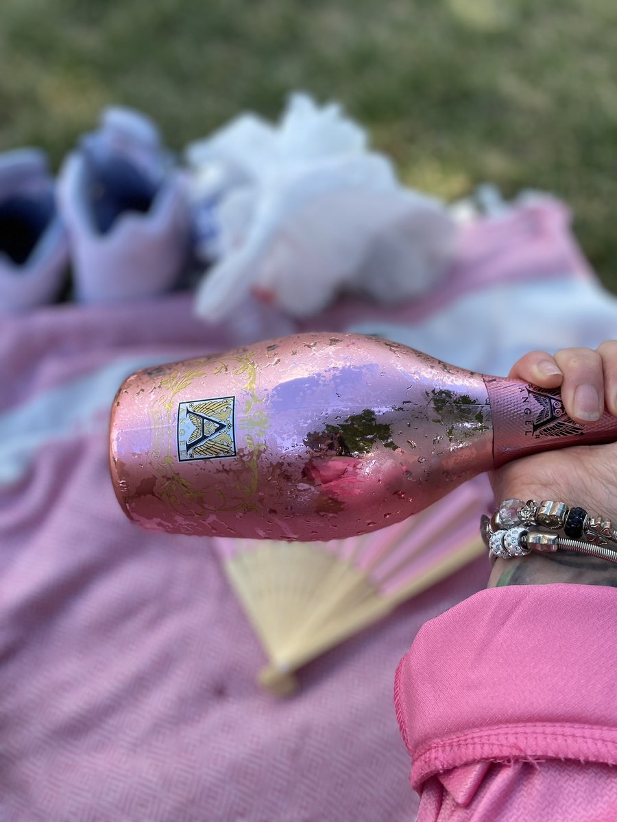 trayonastravels's tweet photo. #PinkNik23 is here!!! If you missed last year why would you miss this year? Click the Link’ &amp; Wear your PINK. 🫶🏾💕 #pinknik #pinknic #roseallday #everythingrose #goodvibes #rose 

https://t.co/fd8HLrqczV https://t.co/k8JfqCWky5