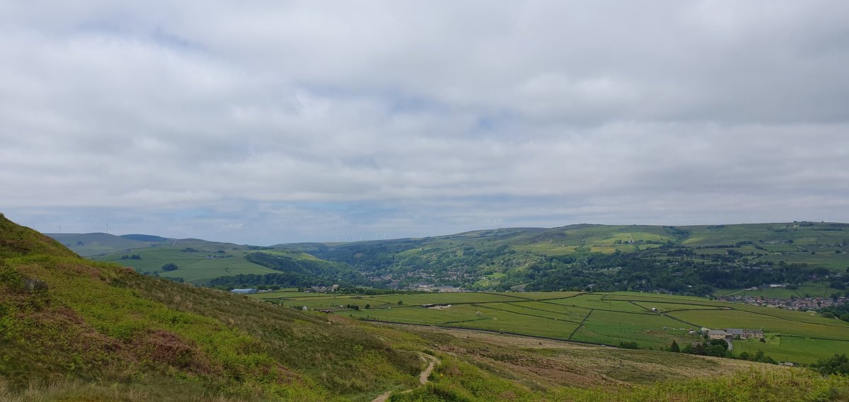 Crystal Palace Progress Band tweet media