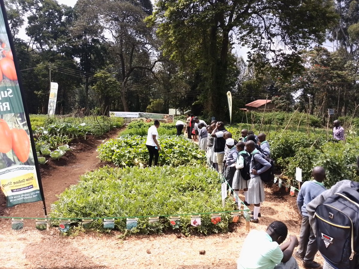kenyaseedltd's tweet photo. We are at the ASK Meru National Show 2023 showcasing improved ways of farming in efforts to promote climate smart agriculture and trade initiatives for sustainable economic growth.
@Simlaw_Seeds
@AgriSocietyOfKe
@JaneGitauPR
#topqualityseed
#MeruShow https://t.co/FXJu1yw1rR
