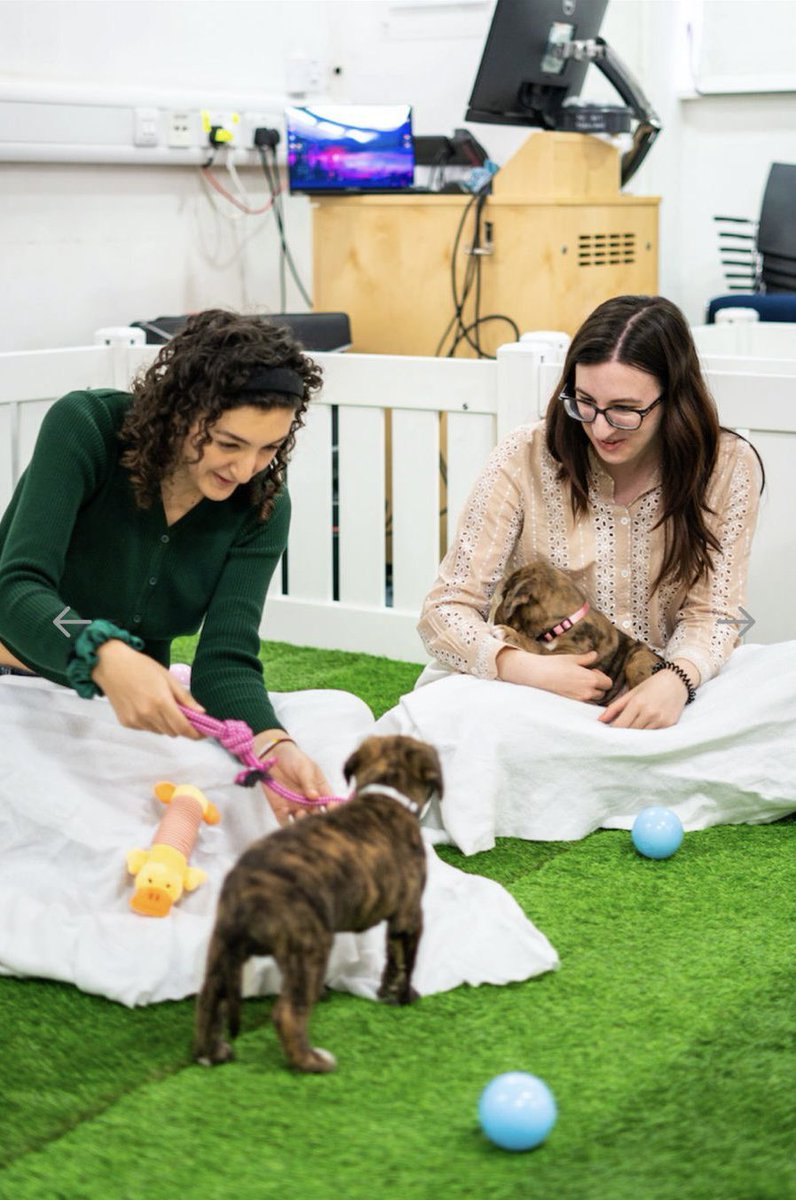 Our lab members taking a break from the lab during Mental Health Awareness Week and getting their daily dose of Puppy Therapy with @pawsinwork at @UCLIoN. Taking care of our mental wellbeing should always be a top priority! 🐾 @UCLBrainScience @uclnews