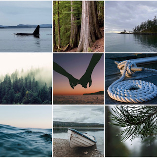 SONG FOR A WHALE x FREE WILLY
When 13yo Katie loses her mom in a car accident, she’s forced to live with her estranged dad and discovers found family with him and a local boy, and the orcas that her dad studies from his remote research facility
#JoyPit #MG #CON