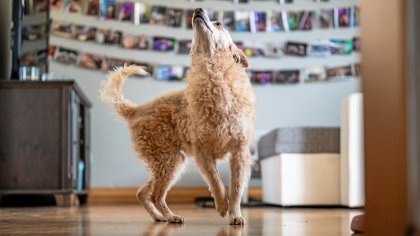 Michelleeee tweet media