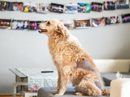 Michelleeee tweet media