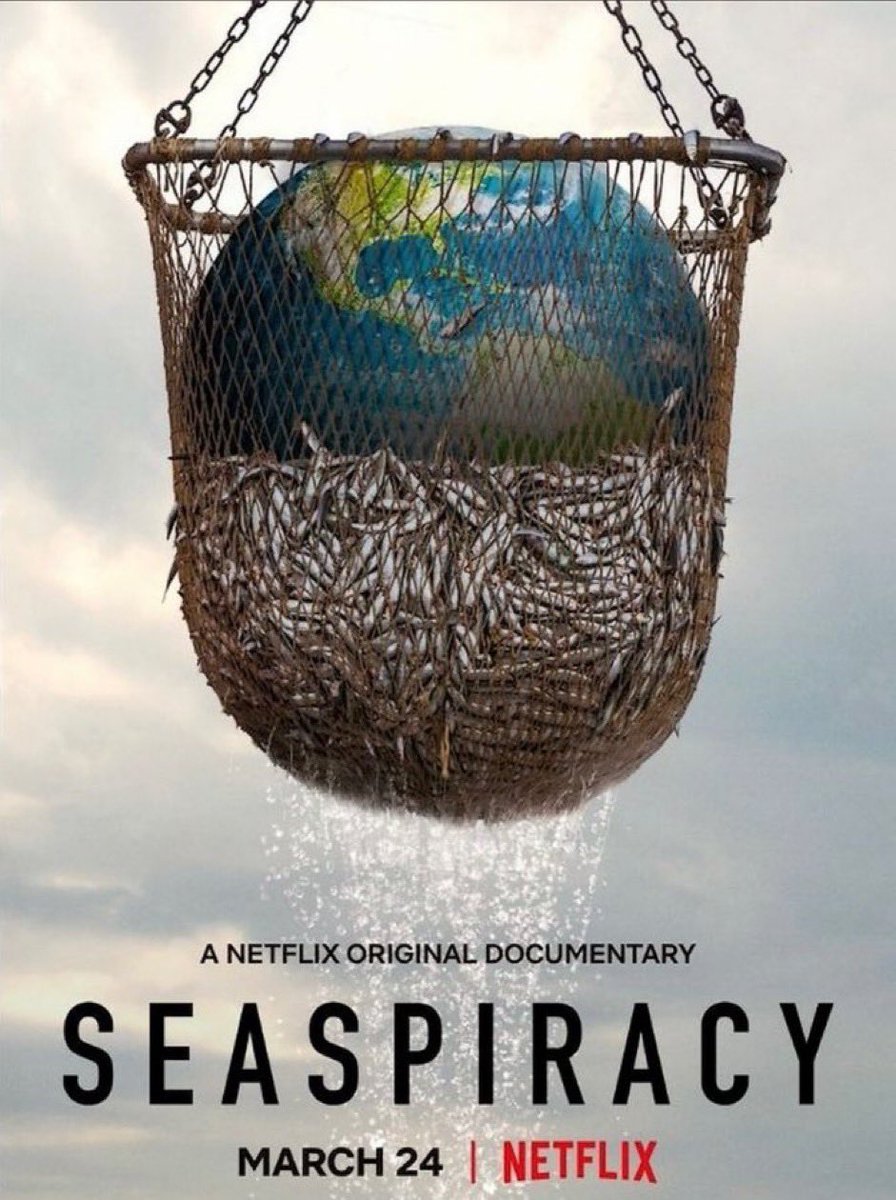 10 netflix documentaries that will change your life + mindset 1. Seaspiracy