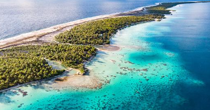 AirTahitiNuiFR's tweet photo. [Journée Mondiale de l'Environnement 🌿] Le saviez-vous ? Vous pouvez compenser l'impact environnemental de vos voyages à bord d'Air Tahiti Nui grâce à la solution offerte par notre partenaire #CarbonClick

Plus d'informations 👇