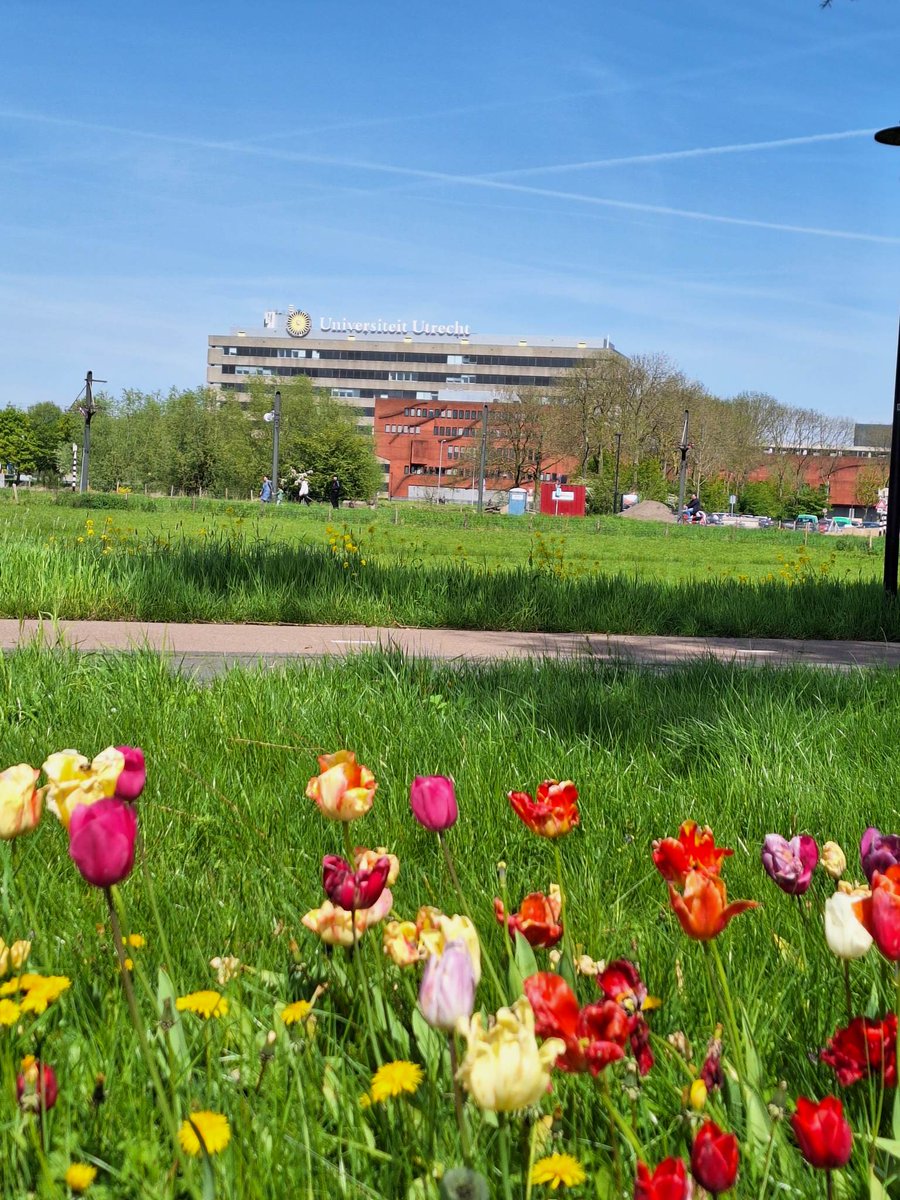 Dr. Nienke van Staaveren tweet media