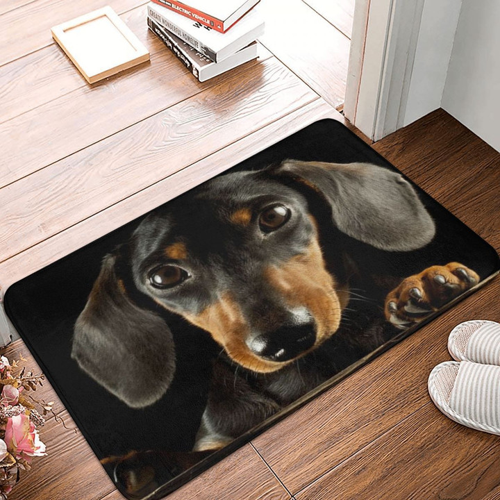 Does anyone love this Awesome Dachshund Doormat??
#Dachshund #Dachshunds 

Order from here:>>
giftyproclub.com/collections/da…