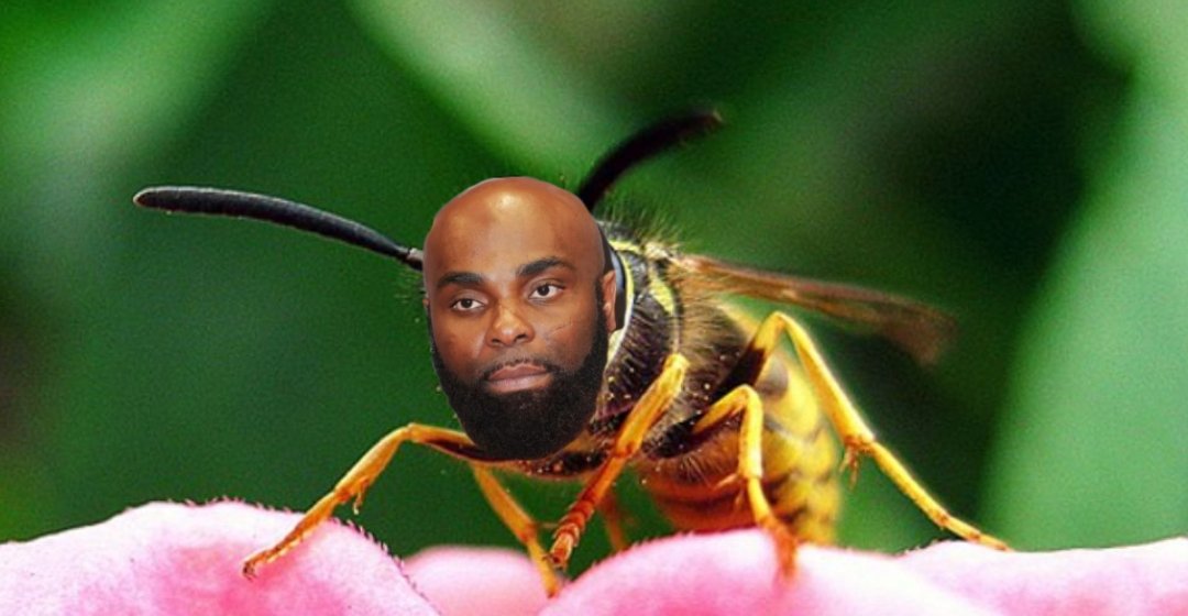 Je n'ai aucune peine j'te pique ta race