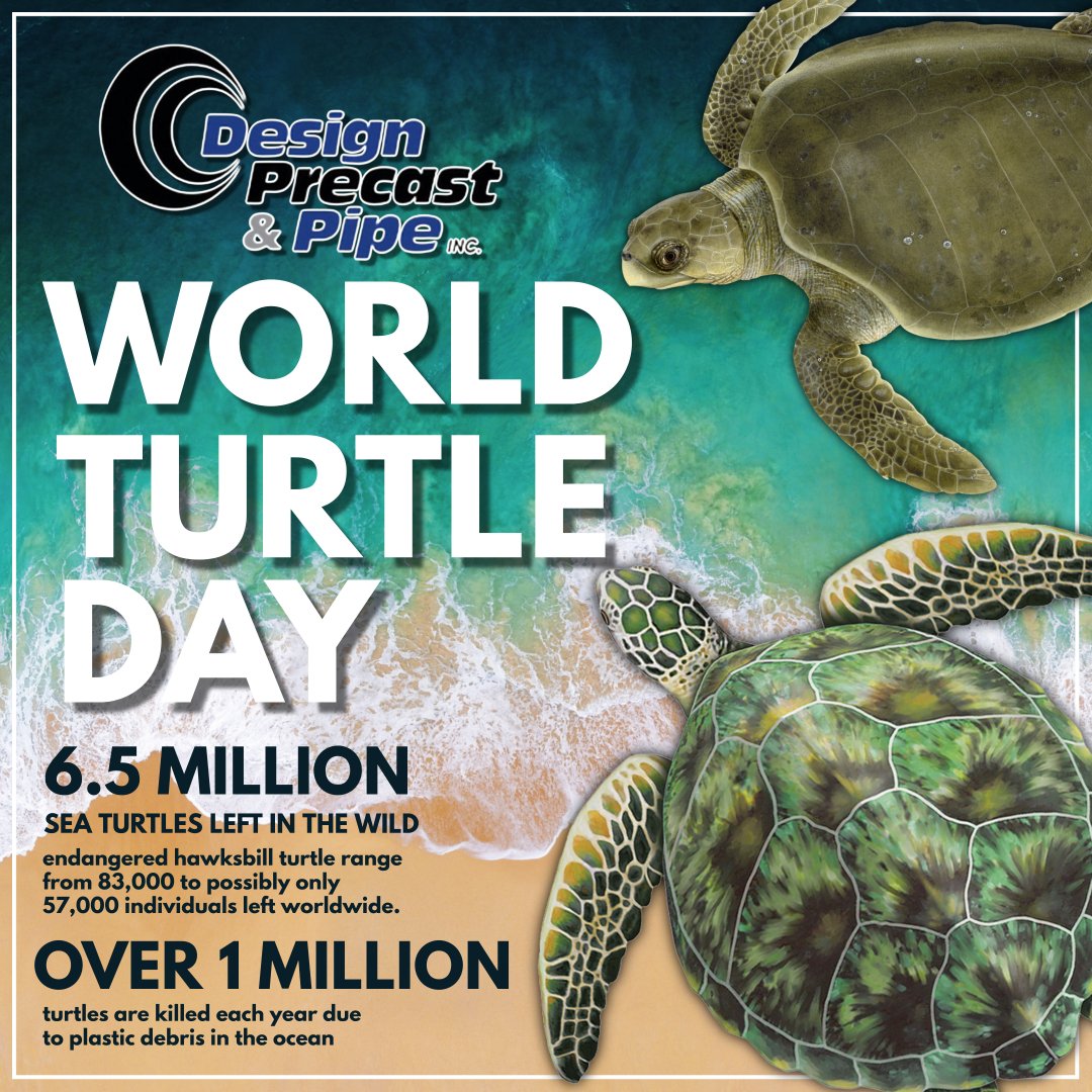 #WorldTurtleDay highlights the importance of turtles. The day also encourages global supporters to dive into the threats that turtles face.
📞 (228) 831-5833
📩 info@designprecast.com
🌐 linktr.ee/designprecast
#DPPIdifference #designprecastpipe #superiorprecast #theliftingeye