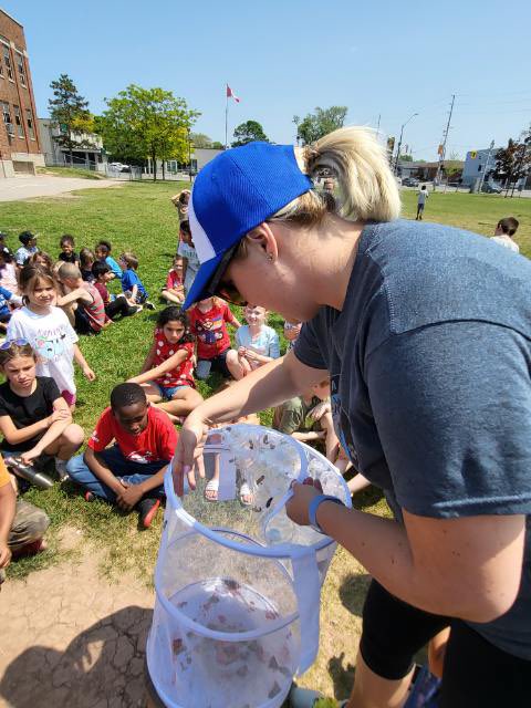 parkdale_hwdsb's tweet photo. Yesterday we released our butterflies. We’ve spent the last couple of weeks observing their lifecycle. https://t.co/WPiuHyna5v