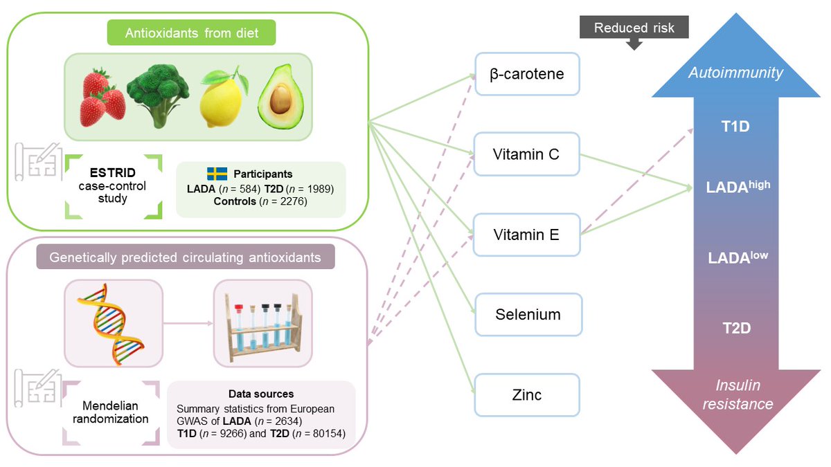 New study on antioxidant nutrients and risk of diabetes. We found evidence that vitamin E may protect against autoimmune diabetes. Read more here: mdpi.com/2318666  <a href="/Nutrients_MDPI/">Nutrients MDPI</a> <a href="/SofiaEJCarlsson/">Sofia Carlsson</a> <a href="/EstridStudy/">ESTRID study</a>  #diabetes #LADA #T1D