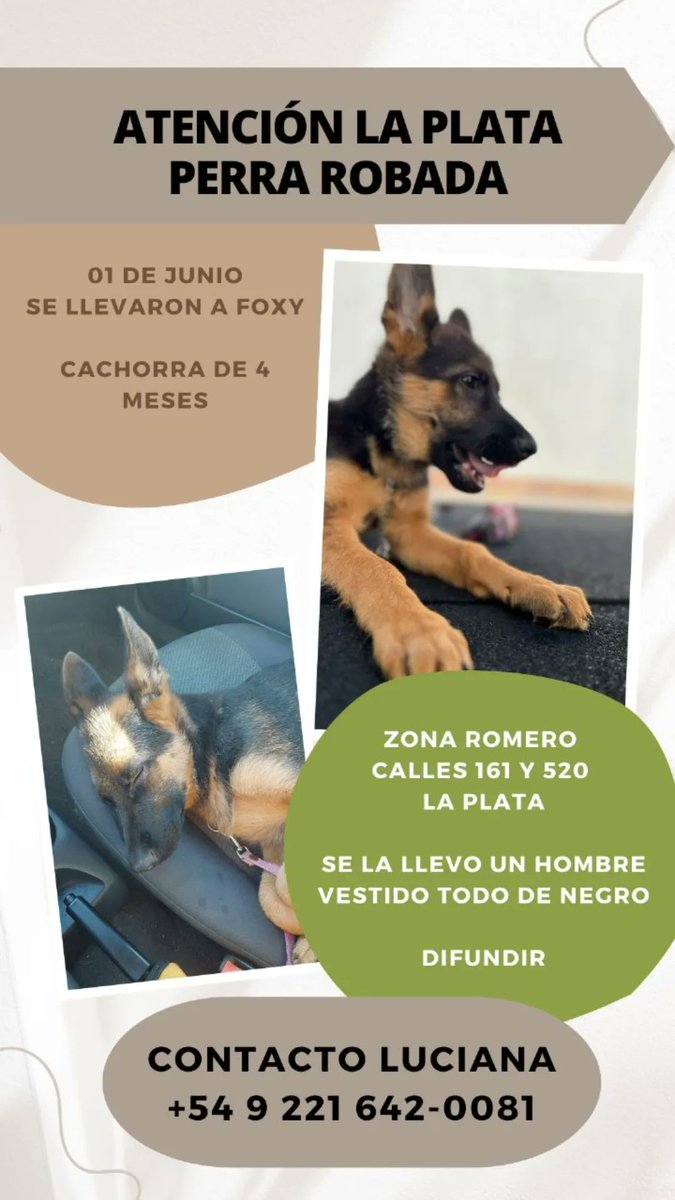ailenarias's tweet photo. Porfa difundir #perrarobada
@soyleomontero @paulitachaves @mati_bertolotti https://t.co/IqARueQVTB