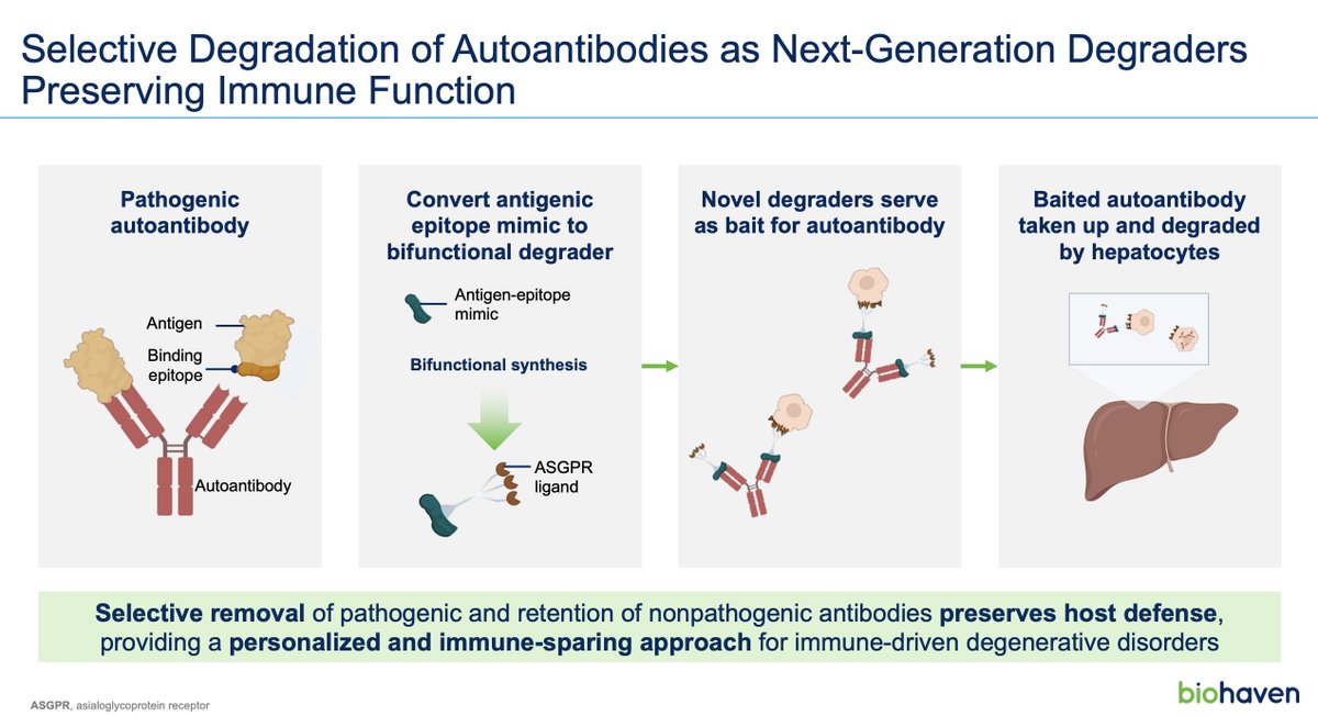 SirtSix's tweet photo. @BiotechElmo @Biohazard3737 @buysidebio Yeah... interesting idea but lots of questions for a tech like this.

Can one bait capture the diversity of autoreactive clones (combat epitope spreading)?

Risk of actually generating an ADA response?

Is ASGPR really the right target for directing efficient degradation? https://t.co/8Pa9zr9orm