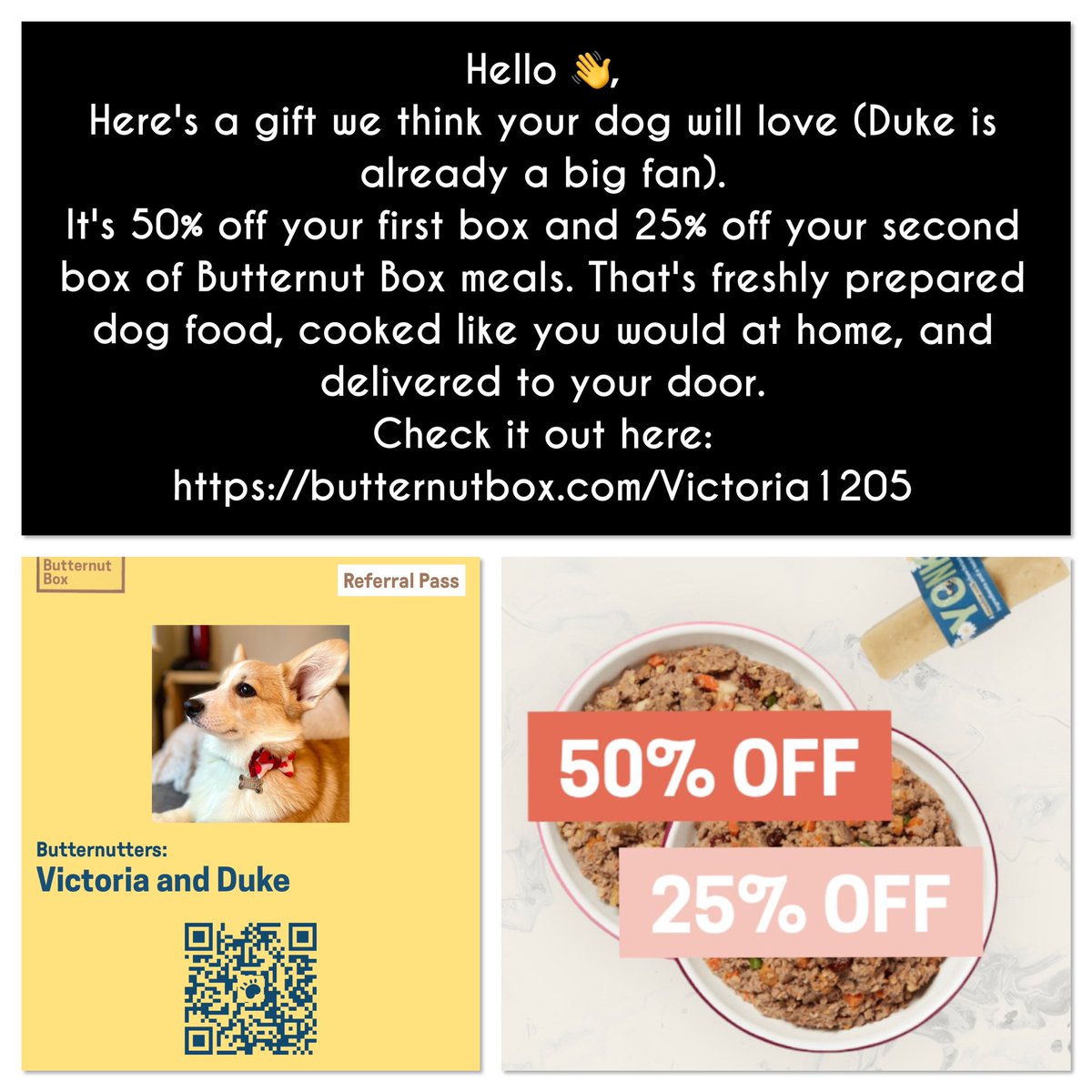 JuteAdoreHamper's tweet photo. Fancy some first class freshly prepared food for your 4-legged family member?
Feel free to use my special link to bag yourself 50% off your first box & 25% off your second box. No strings attached ๐๐พ
https://t.co/ecbNMBomRu
#DogsofTwittter #DogsDeserveTheBest #ButterNutter https://t.co/4ZnMFo9lmN
