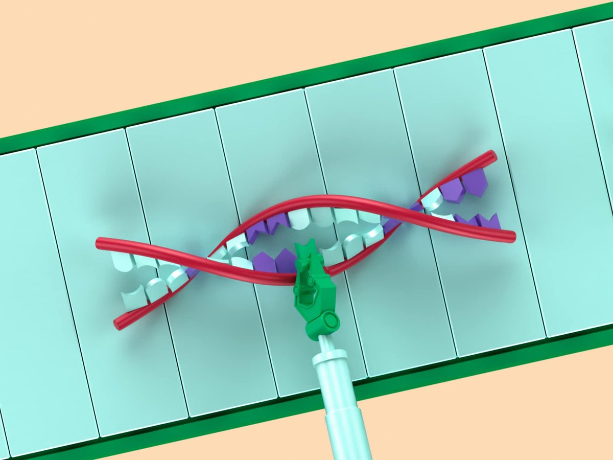 #DYK that our DNA cells have the power to repair not just healthy cells, but cancer cells too?
Good news is that scientists are exploring ways to maximize this power against cancer.
Curious? Check the link: bit.ly/3IQdElz
#HumanProgress #TeamMerck bit.ly/3N6fWiV
