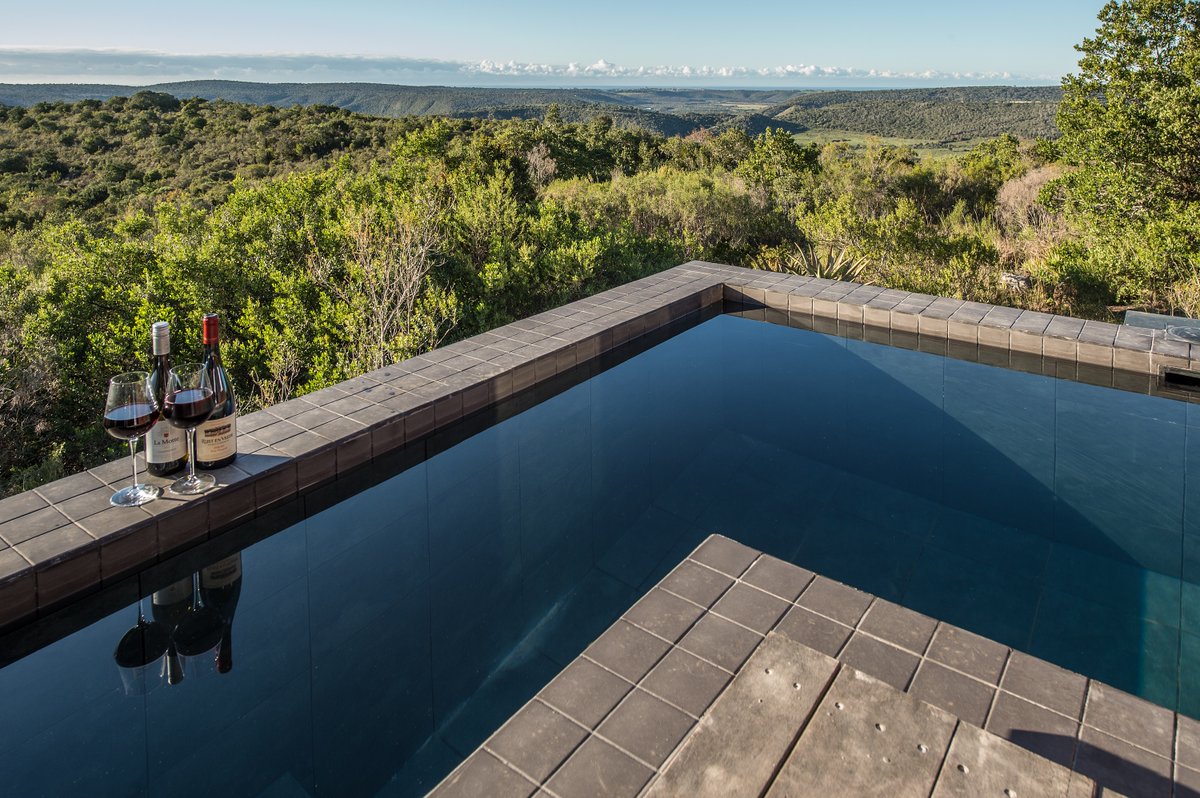 ExclusiveJourn2's tweet photo. From the #bush to the #beach and everything in between... Experience the ultimate #safari to #KariegaGameReserve while staying at #RiverLodge and #UkhoziLodge😍🤩
👇👇👇
info@exclusivejourneys.co.za
#wildlife #luxurytravel #wildernessexperience #southafrica 
📸 #Kariega https://t.co/JOSk1ADpTe