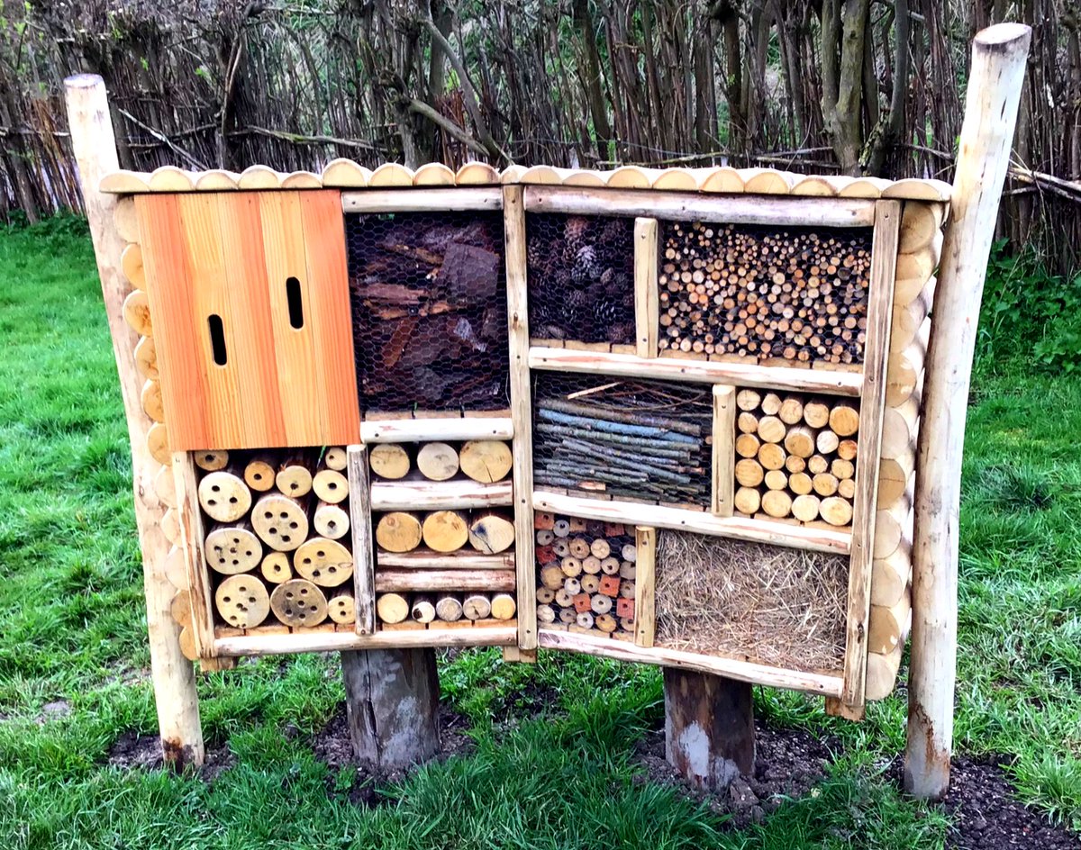 Flights of Fantasy tweet media