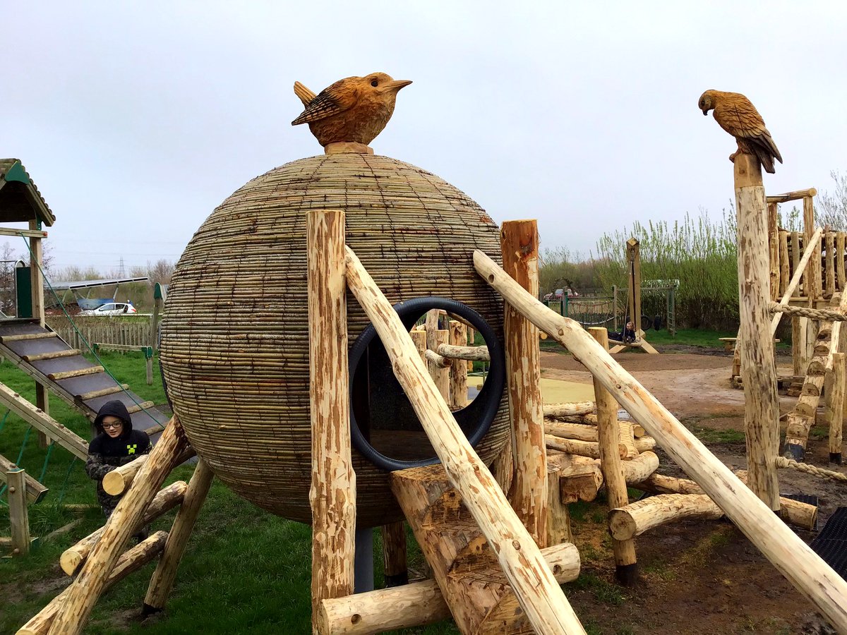 Flights of Fantasy tweet media