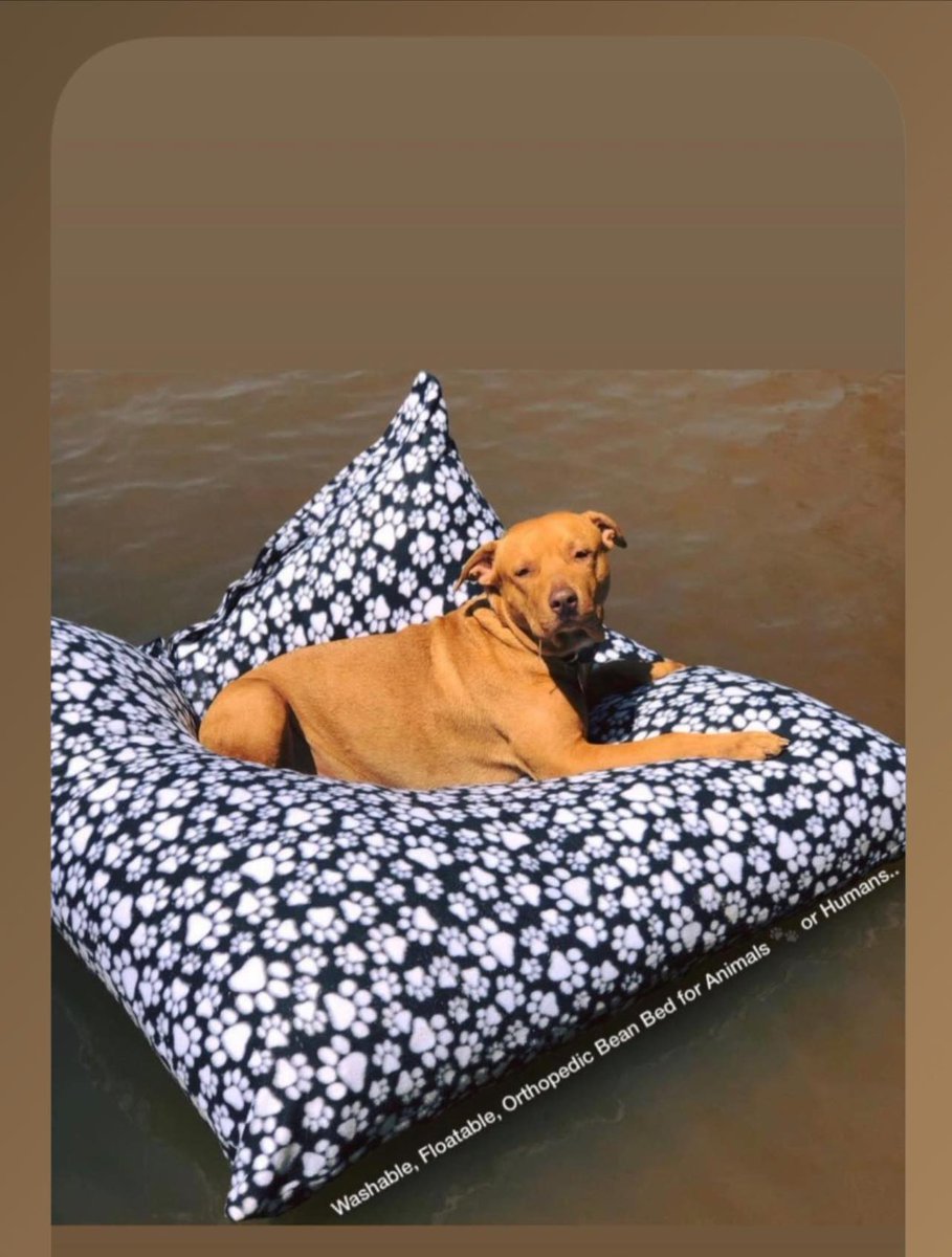 Furbaby Bean Beds LLC tweet media