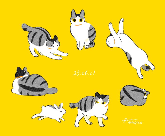 「猫 ストレッチ」のTwitter画像/イラスト(新着)