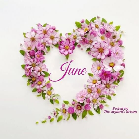 Hello #June #June2023 #JuneWish #HelloJune #HolaJunio #WelcomeJune #HappyMonthOfJune