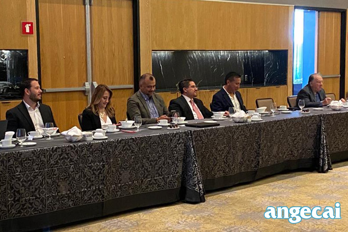 ANGECAI AC tweet media