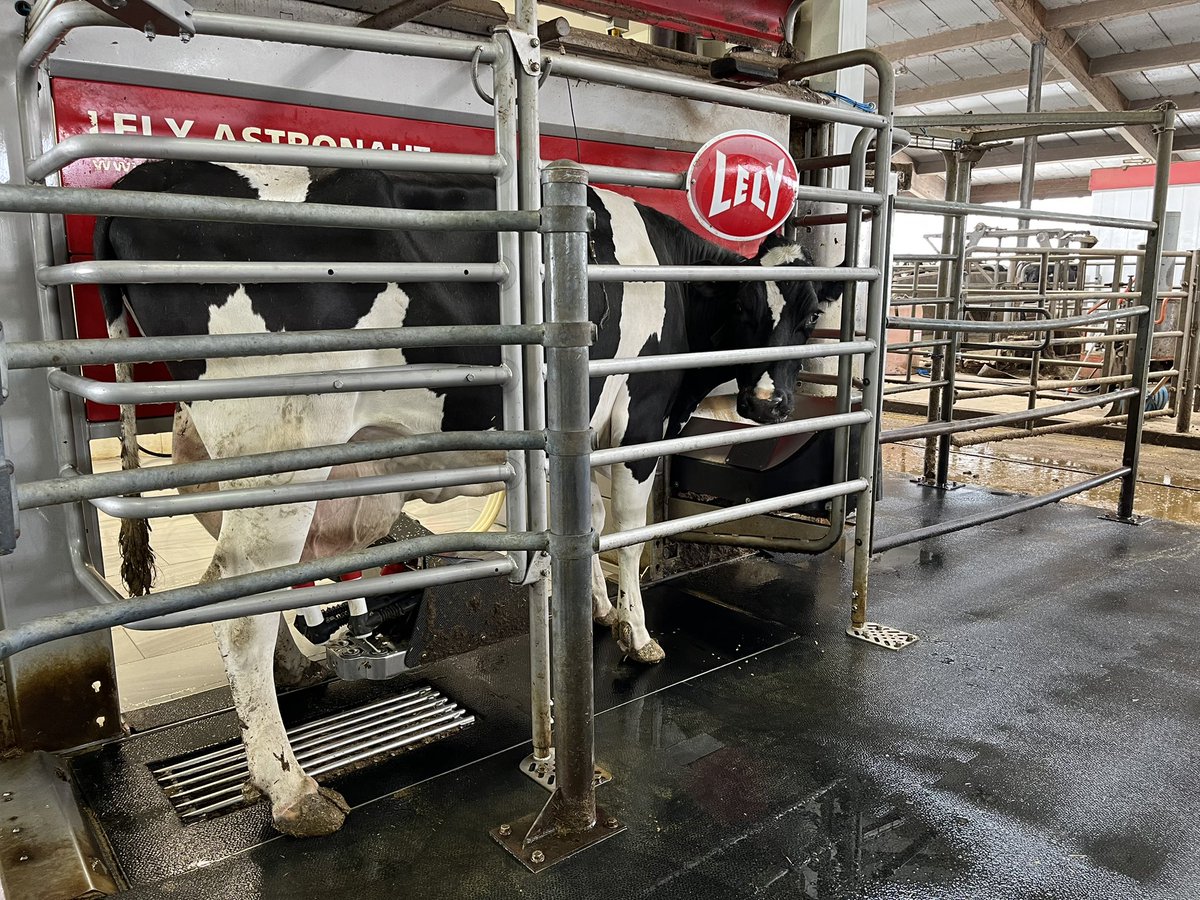 Sharon_terBeek's tweet photo. Happy #WorldMilkDay2023 from Golden Bay Dairy!
@DairyFarmersPEI
#ProudToBeDairy
#enjoydairy
#qualitycanadianmilk https://t.co/7fnY9Y7YsD