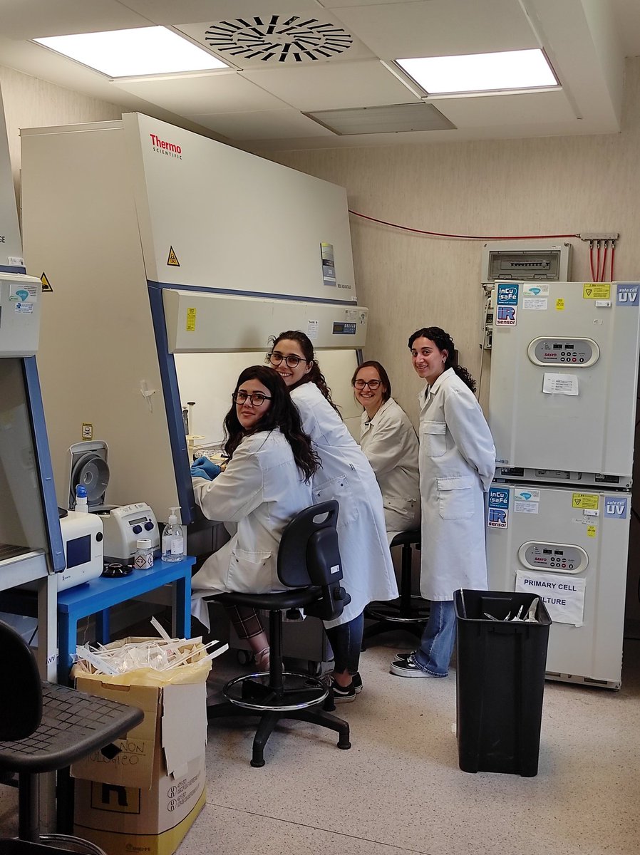CNRPI4Angelman's tweet photo. Today a hard-working crew is testing the effects of our nanoparticles on enuronal and epithelial cells. #InnovAs #Angelman https://t.co/7N2H7Fd620