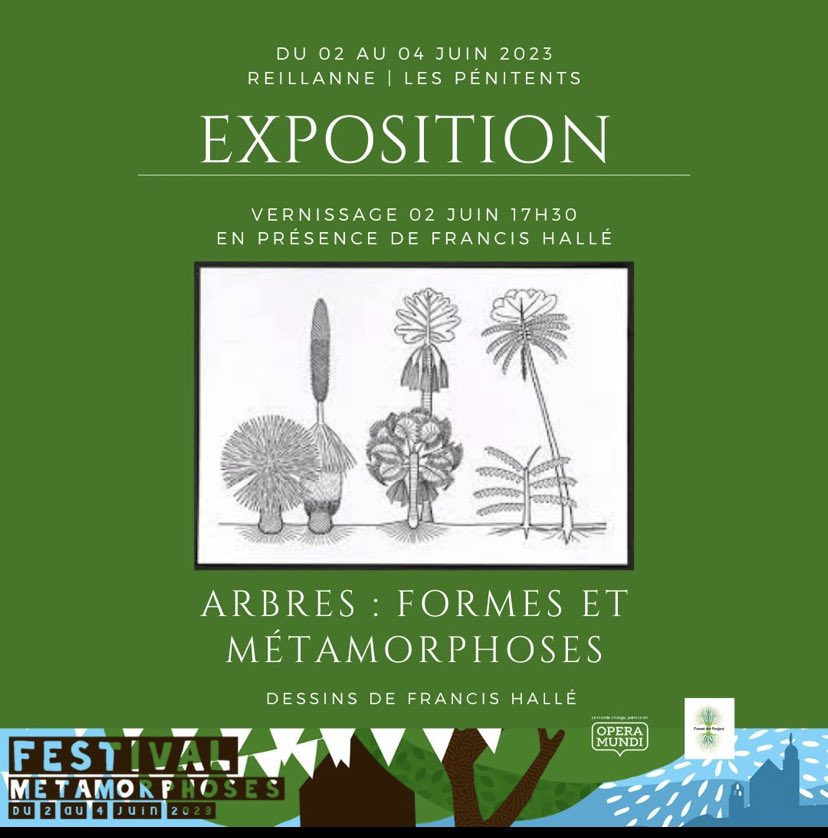 FMetamorphoses's tweet image. 🌳 Opera Mundi et Association Forest art project proposent une exposition de dessins de Francis Hallé,  spécialiste mondialement connu des arbres  Association Francis Hallé pour la forêt primaire 
💥02 JUIN vernissage en présence de Francis Hallé 17h30 aux Pénitents