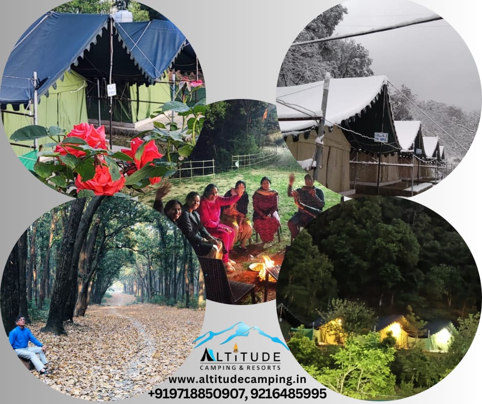 AltitudeCamping's tweet photo. Hi, Friends
Pack your bags and come over! Team Altitude Camping looks forward to welcome you!
Visit us for an awesome experience amidst nature.

For Bookings: Call / WhatsApp # 9216485995 ,7876801234 ,9718850907.
Email- booking.altitudecamping@gmail.com, https://t.co/mnhS7V71xI https://t.co/XQQt7FMjt5
