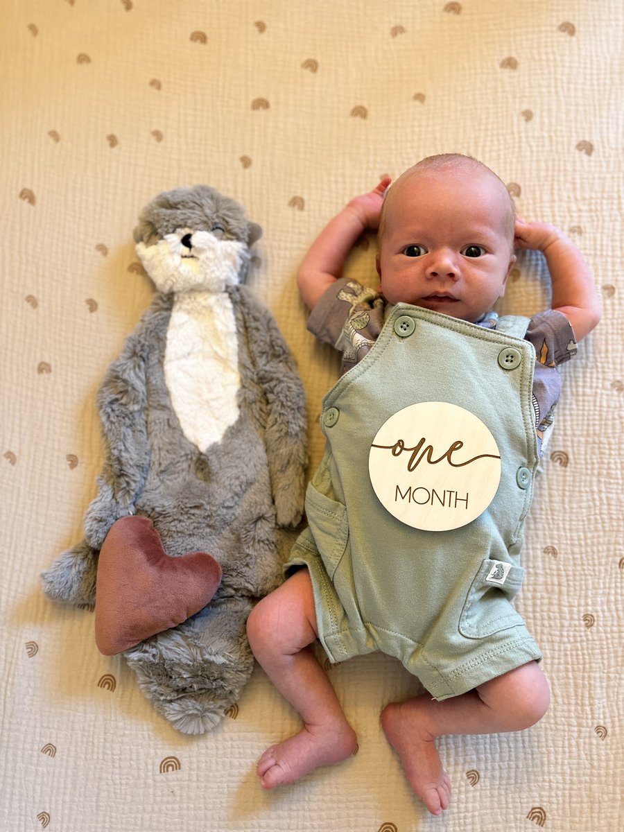 brookelynreigel's tweet photo. This little squish🩵 https://t.co/rDeBf5hU6q