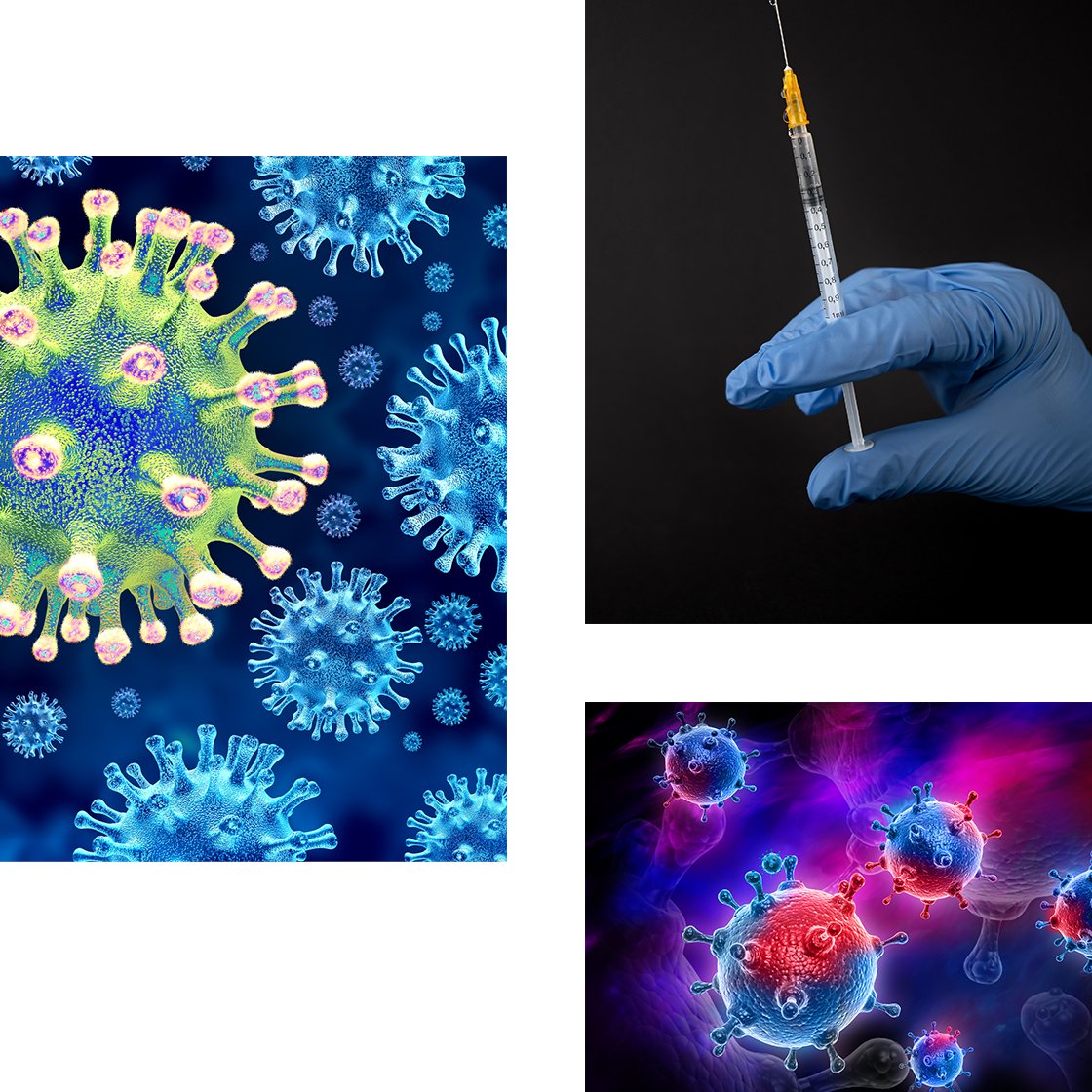 Discover our InSilicoVACCINE Suite for #vaccinedevelopment: computational tools  to streamline design, reduce costs & enhance efficacy.

Combining  #immunoinformatics #simulations & #virtualpopulations, our suite supports early design & clinical evaluation
insilicotrials.com/insilico-vacci…