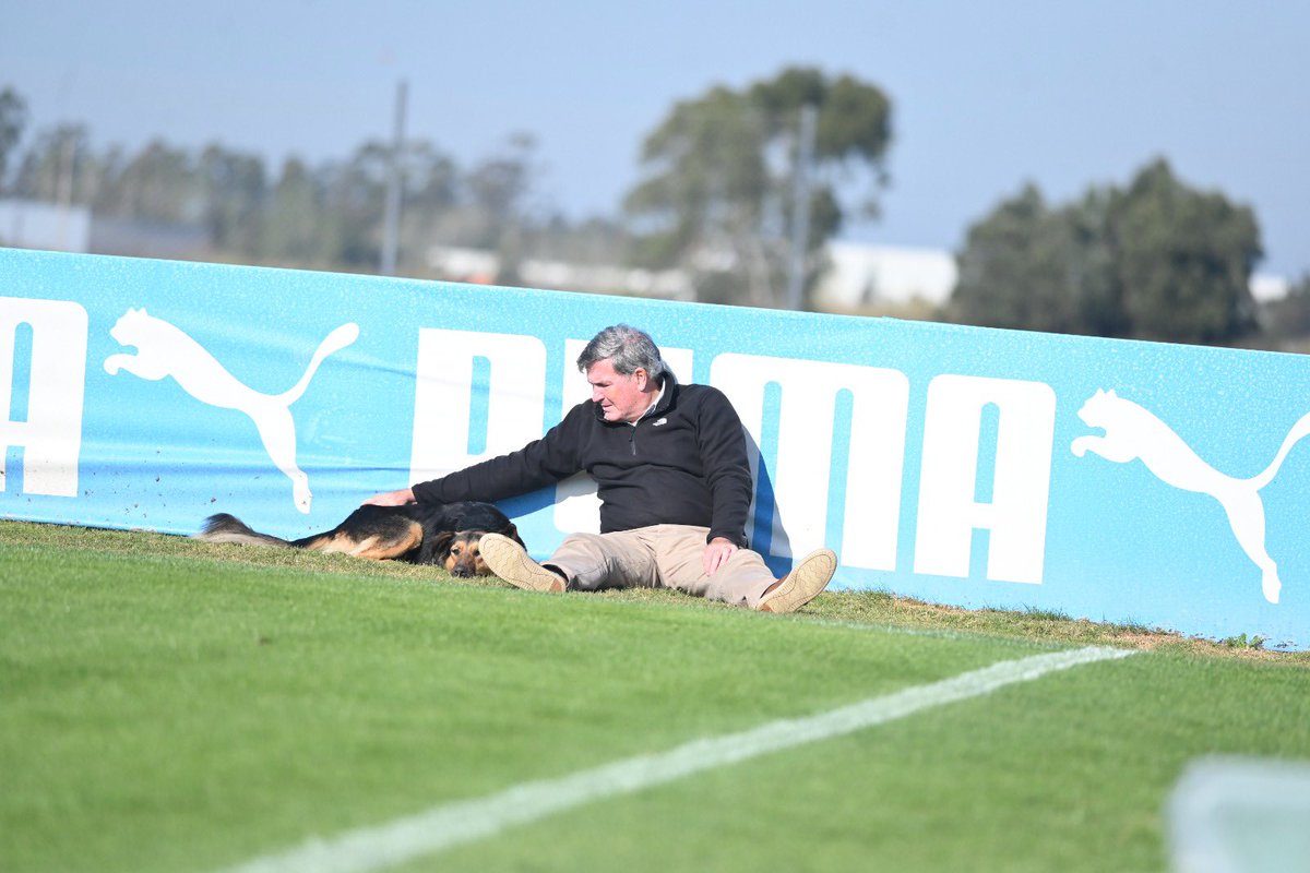Pedro Bordaberry tweet media