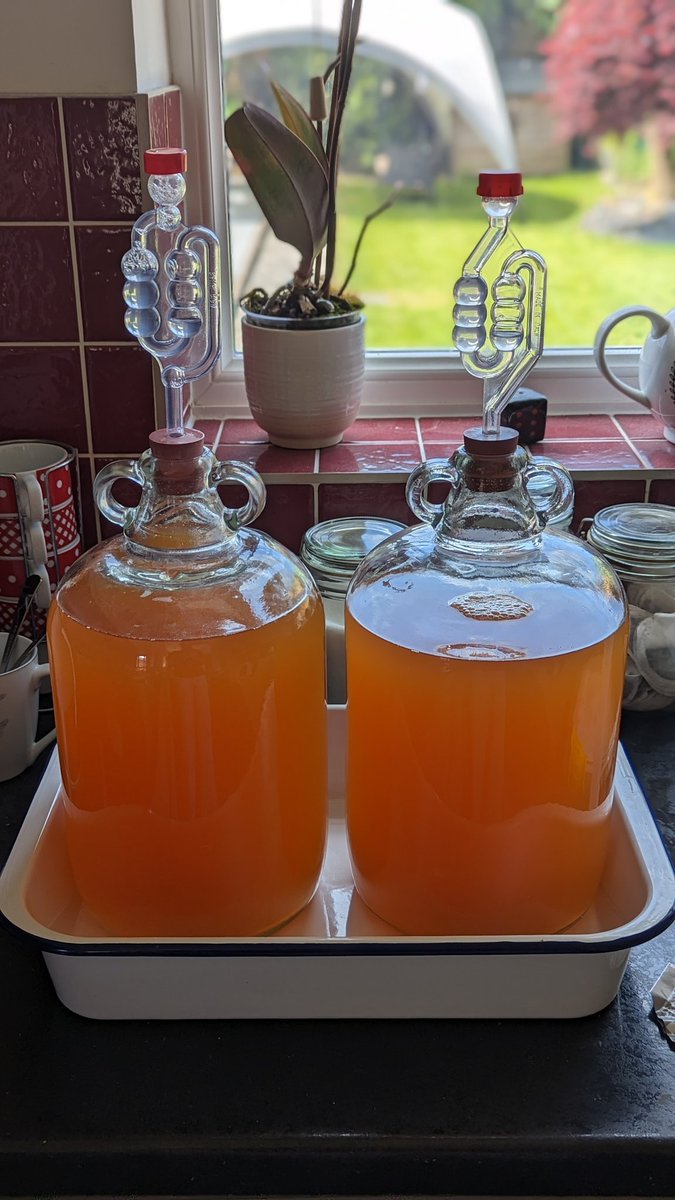 BragdyBoyd's tweet photo. Time to get some turbo cider on the go!! 🤙

A double batch of our latest concoction, ready for #SummerVibesIII. 💪

Always trying new things too. A new flavour and a new attempt at packaging to come. 😬

Stay tuned! 👀 https://t.co/wjUBxDQlFA
